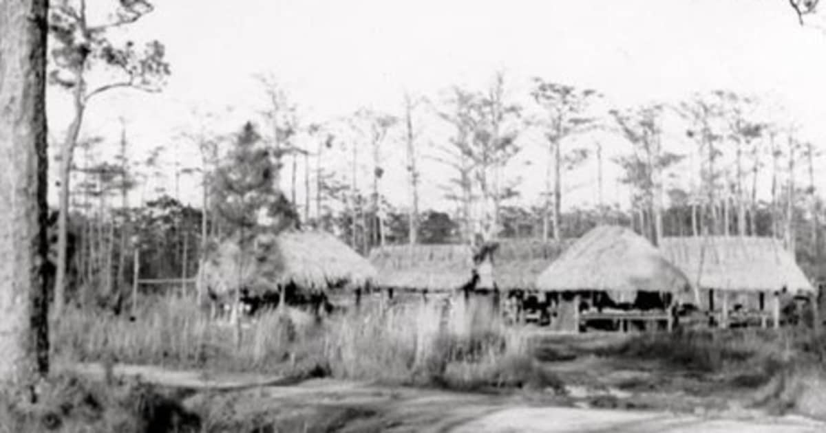 The land we are on FIU News Florida International University