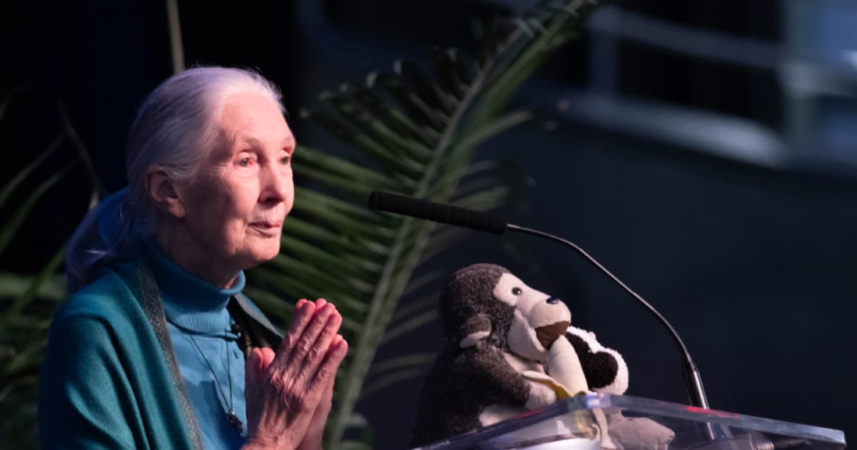 In memoriam: The message of hope the late Jane Goodall shared with South Florida