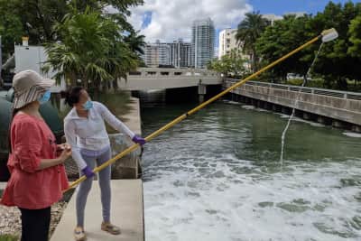 Florida visual data 2