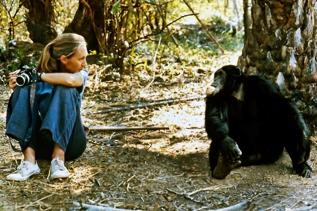 Jane Goodall shares message of hope with South Florida FIU News