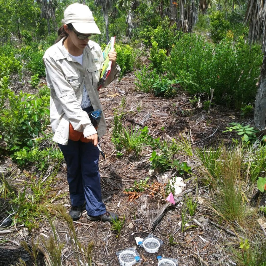 Got my first job! Working as a field biologist at Fairchild Tropical