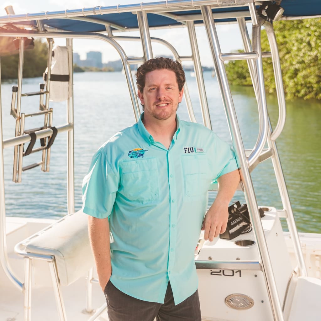 Are Florida manatees eating the equivalent of “junk food”? | FIU News