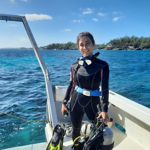 My internship protecting the reefs in Bermuda | FIU News - Florida ...