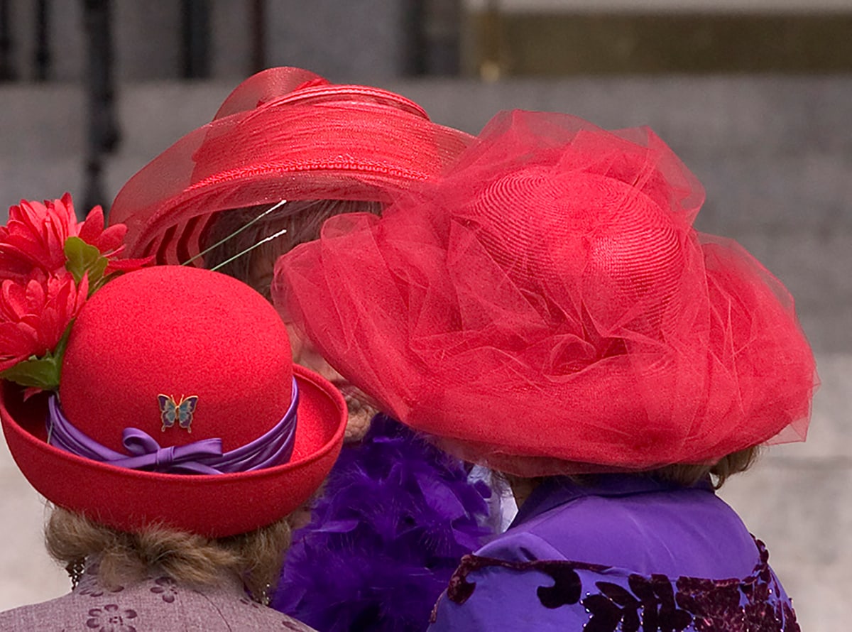 Society red. День «общества красных шляпок» (Red hat Society Day). День общества красных шляпок 25 апреля. Шляпа красная. Большие шляпы с цветами.