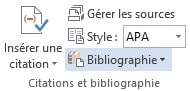 creer-des-bibliographies-tables-de-références-word-2013-digicomp-6
