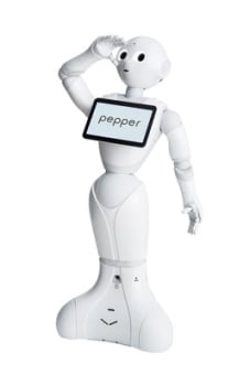 PEPPER Roboter