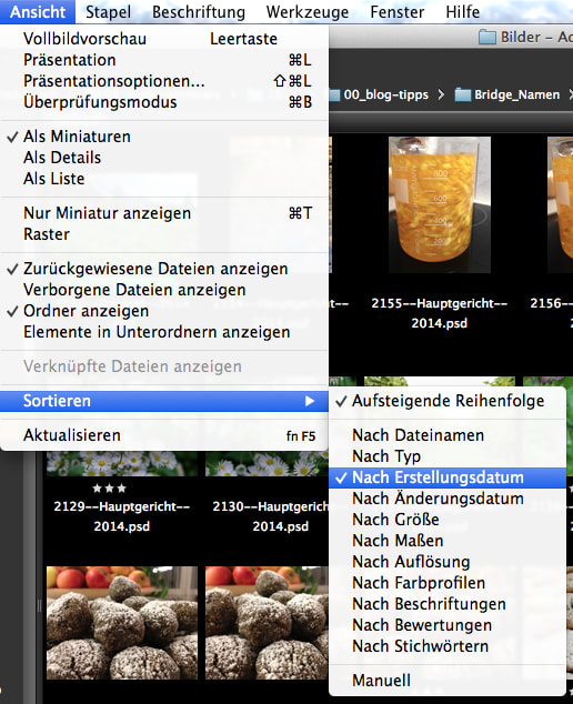 Dateiansicht in Adobe Bridge