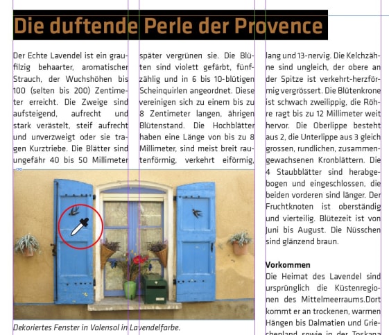 Die Pipette kann Farben aus platzierten Bildern auf den Text übertragen.