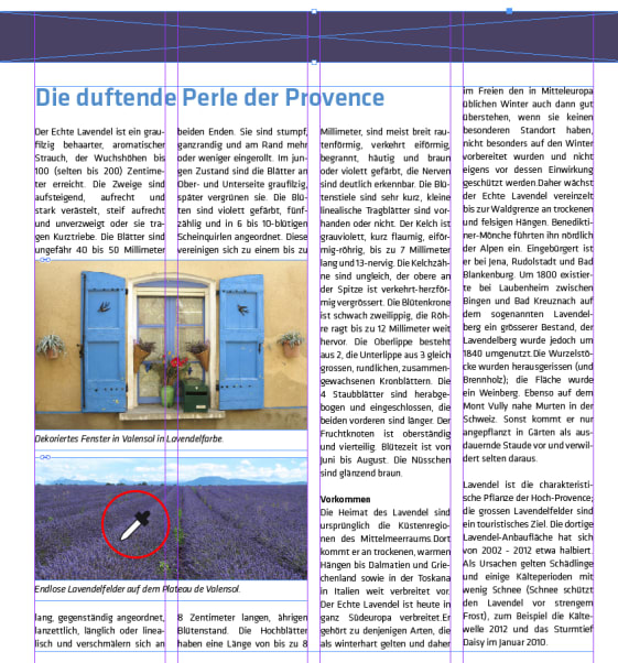 Die Pipette überträgt die Farbe des platzierten Bilds auf die ausgewählte Fläche.