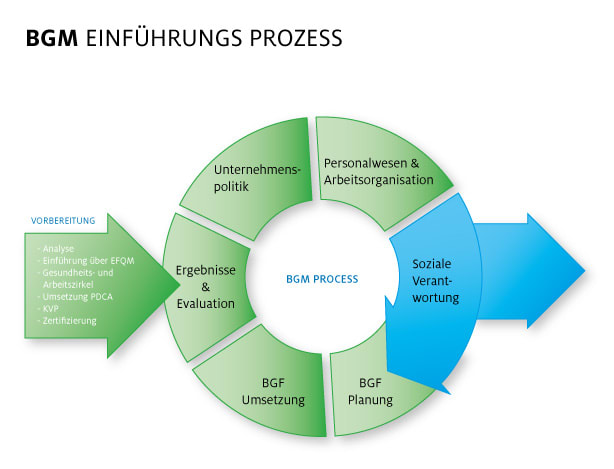 Der BGM Einführungungsprozess