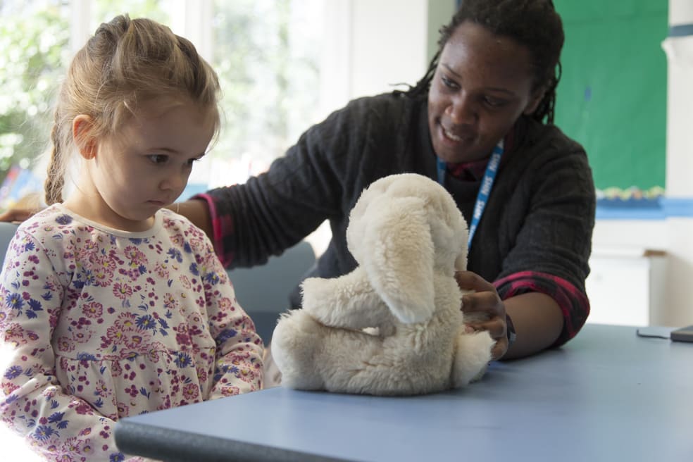 Children's Brain and Emotional Development Course