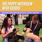 The Puppy Interview with Matt Barr of GEODIS' e-Logistics Brand