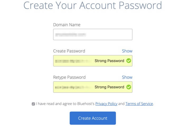 bluehost account
