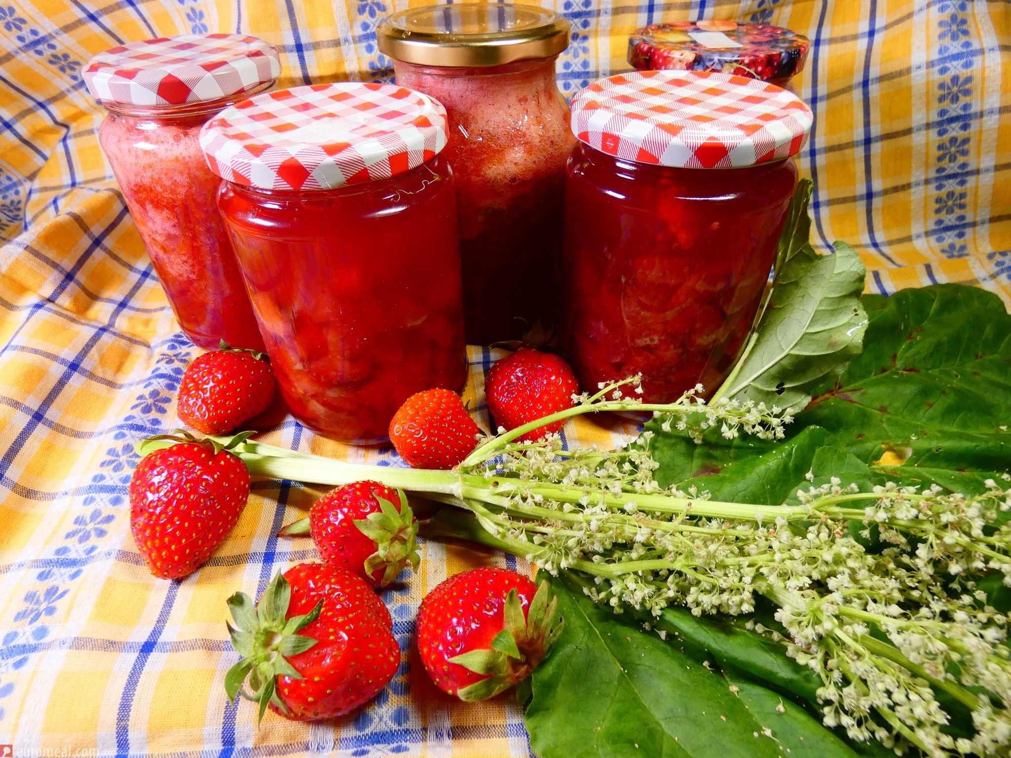 Erdbeer - Rhabarber Marmelade