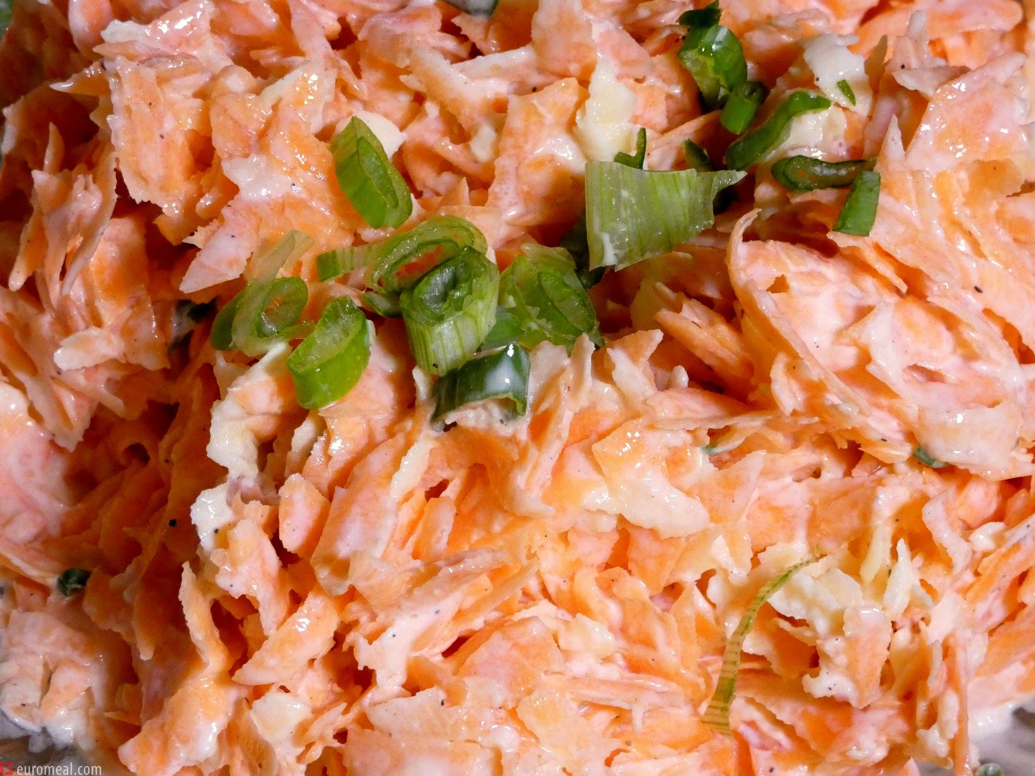 Karotten - Apfelsalat mit Johurtdressing · euromeal