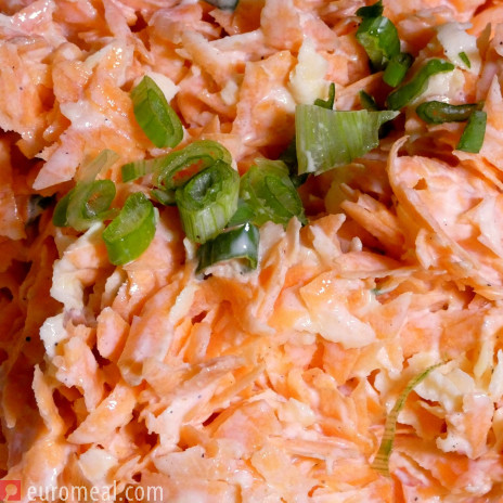 Karotten - Apfelsalat mit Johurtdressing