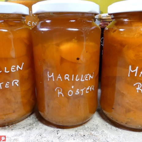 Aprikosen im eigenen Saft haltbar gemacht