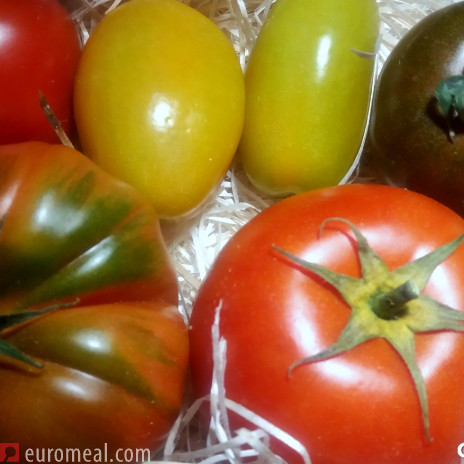 Tomaten Rezepte