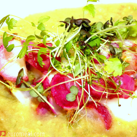 Avocadosuppe mit Radieschen und Sprossen