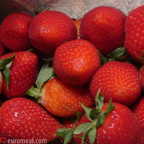 Erdbeeren