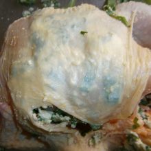 Huhn füllen