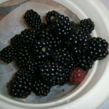 Beeren vorbereiten