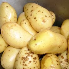 Kartoffeln waschen