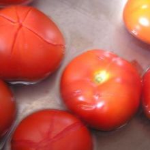 Tomaten kurz blanchieren