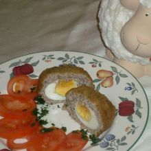 Eier im Nest