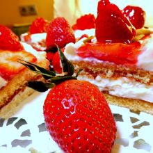 Erdbeerschnitten mit Topfencreme