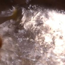 Wasser aufkochen