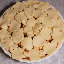 Apfel Preiselbeertarte backen