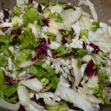 Bunter Blattsalat mit Apfelstücken