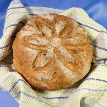 Buntes Karottenbrot