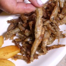 Frittierte Sprotten