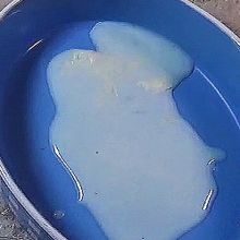 Béchamelsauce in Auflaufform geben