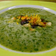 Löwenzahncremesuppe