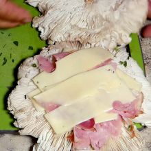 Mit Schinken und Käse füllen