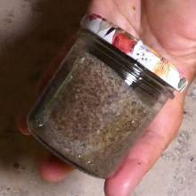 Mohnpesto