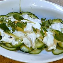 Gurkensalat mit Wasabisprossendip