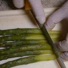 Spargel schneiden
