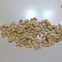 Pininenkerne anrösten