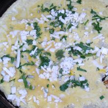 Parmesan - Omelette