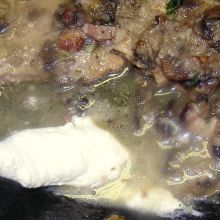 Soße auf montieren