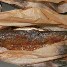 Forelle braten