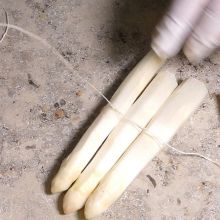 Spargel binden