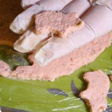 Schweinchen ausstechen