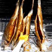 Fische grillen