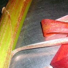 Obst vorbereiten