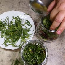 Rucola in die Gläser geben